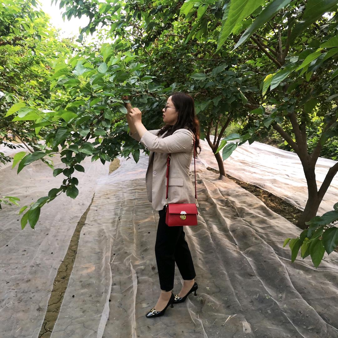 不太聪明的亚子