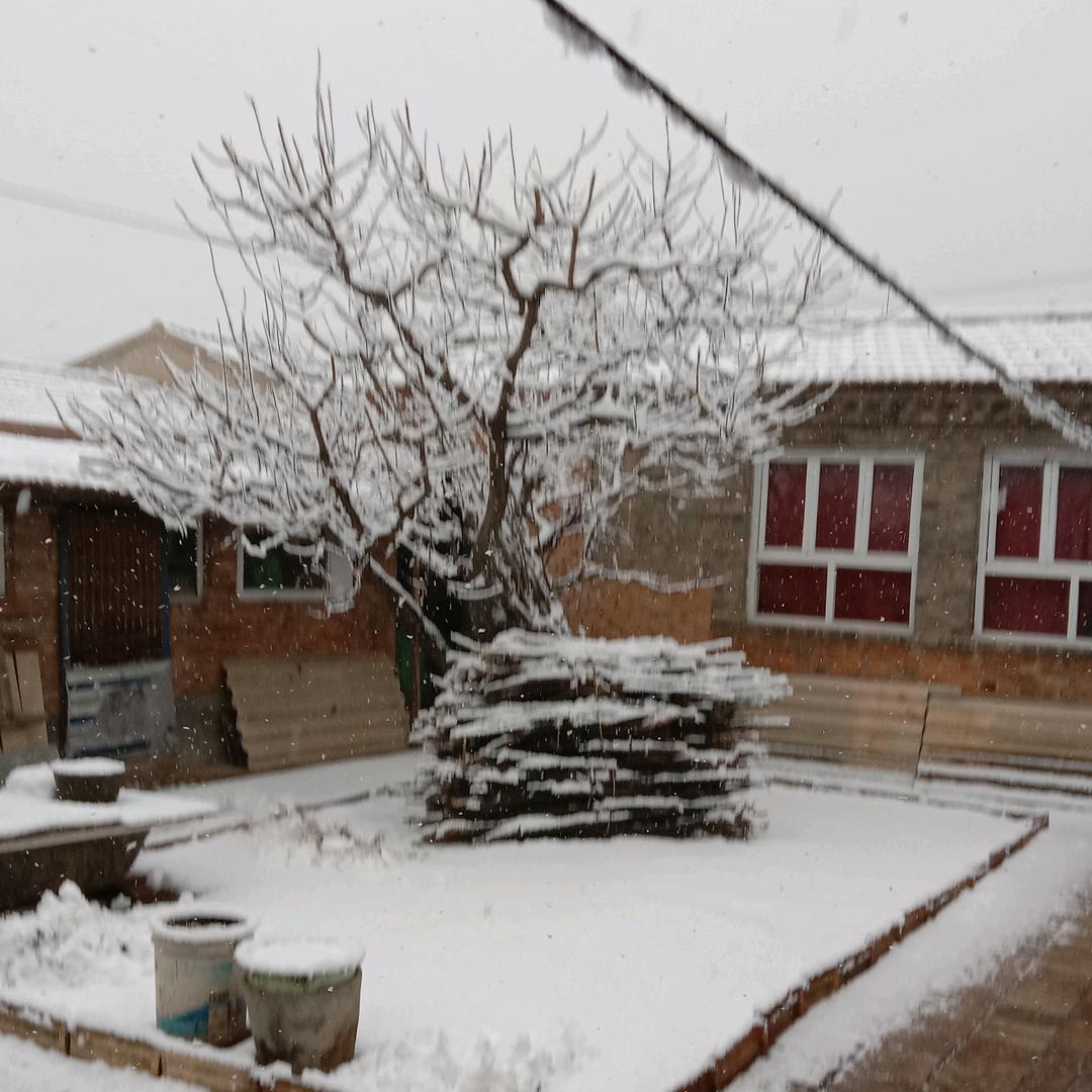 🇨🇳不忘初心🇨🇳