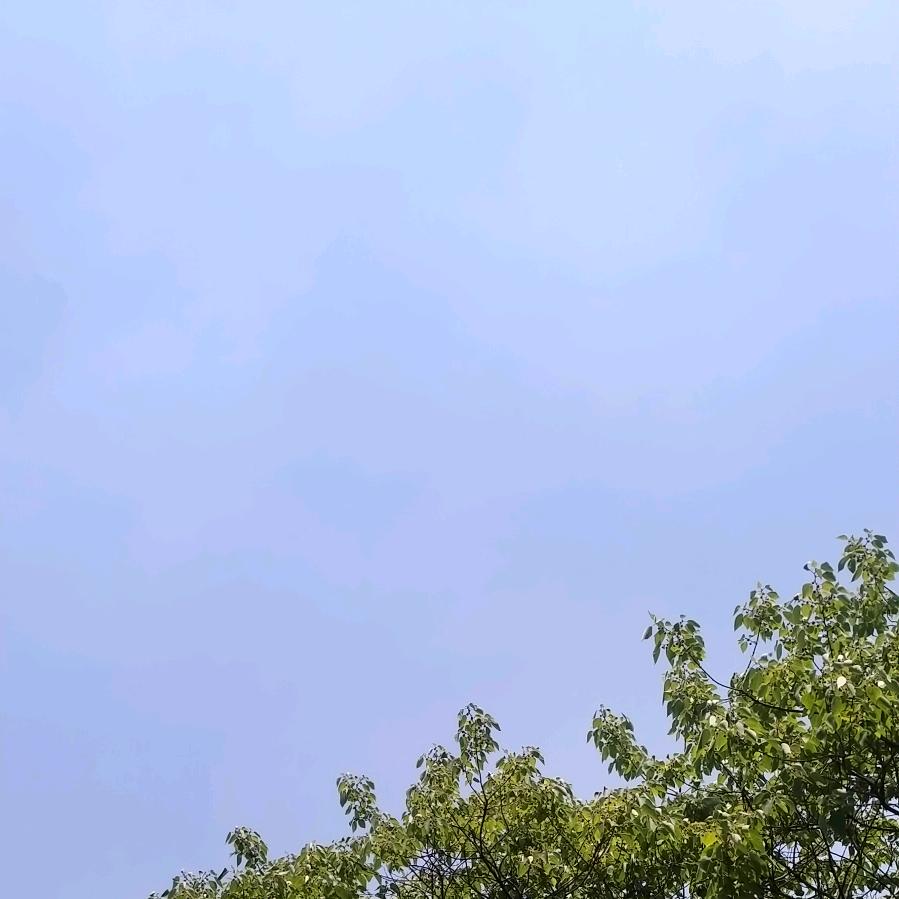 小康哥