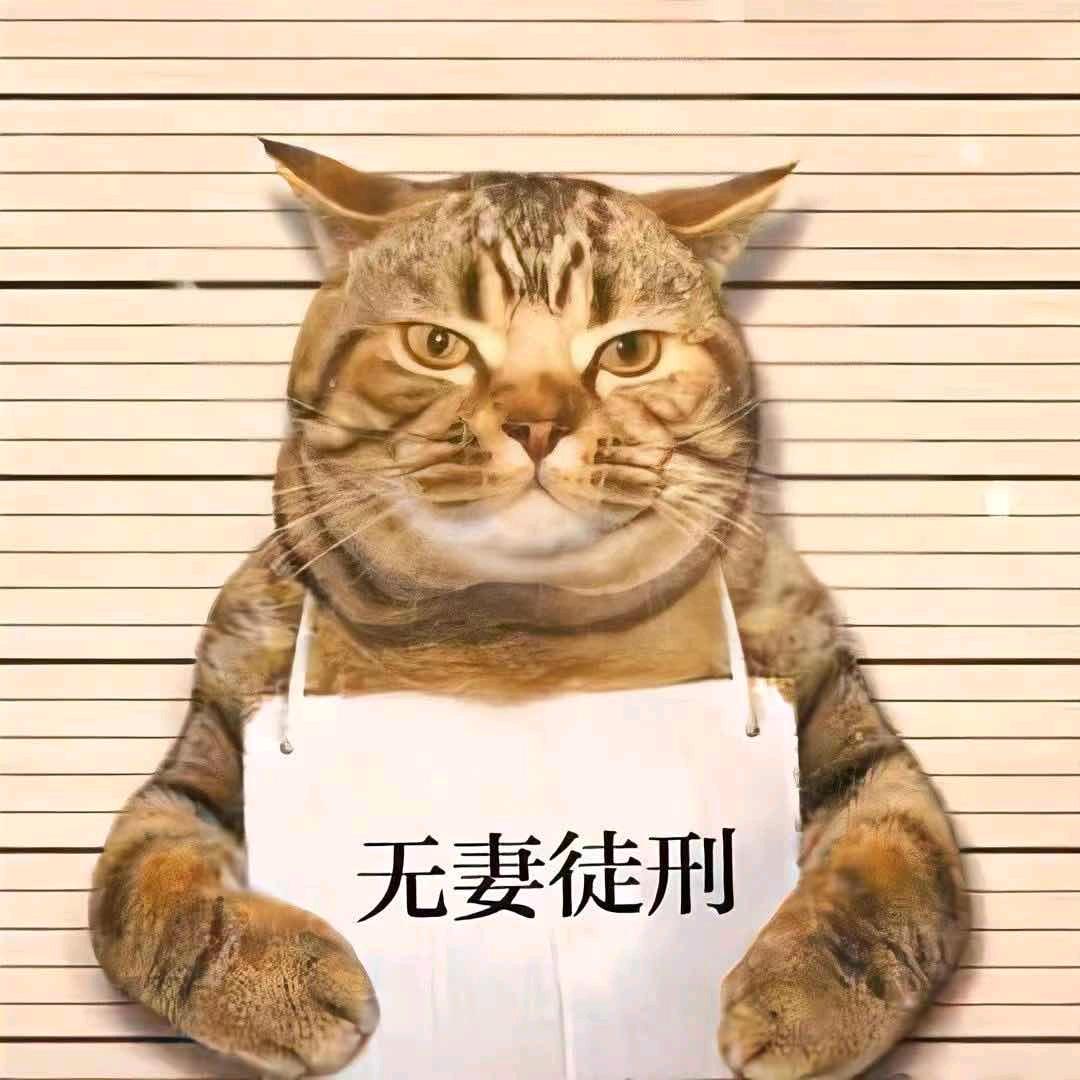 🐵贰🈲制
