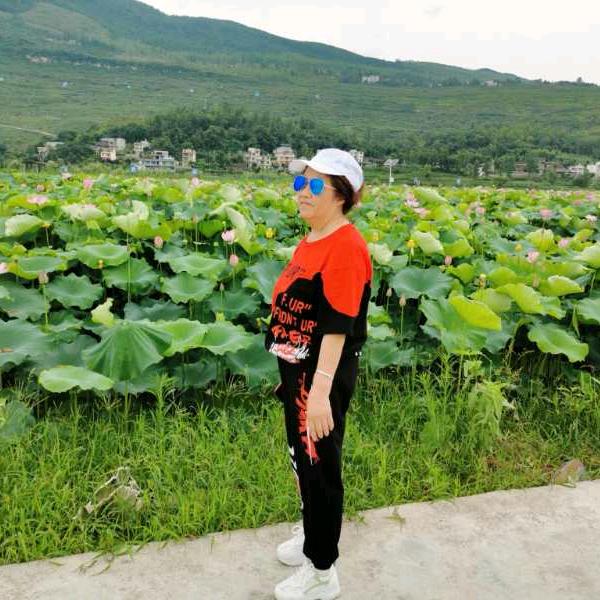 杨大姐