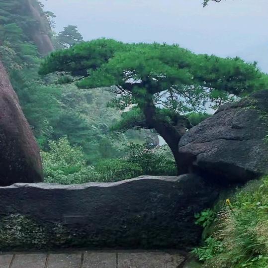 坚强一点