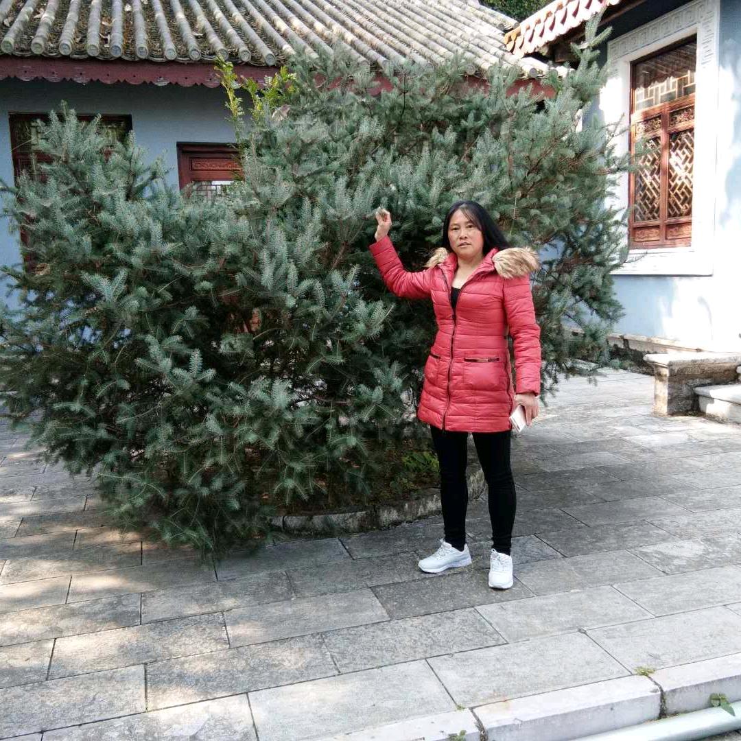 青春永驻（拒绝私聊）