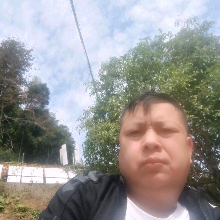 讨厌虚伪的人