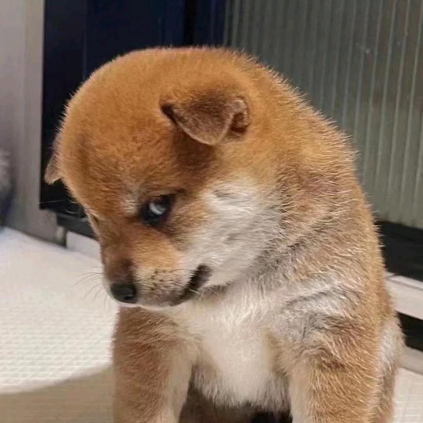 格局决定你的成就💝