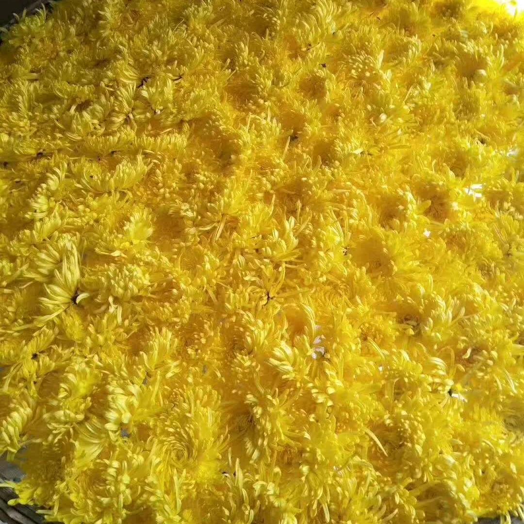 山高云阔