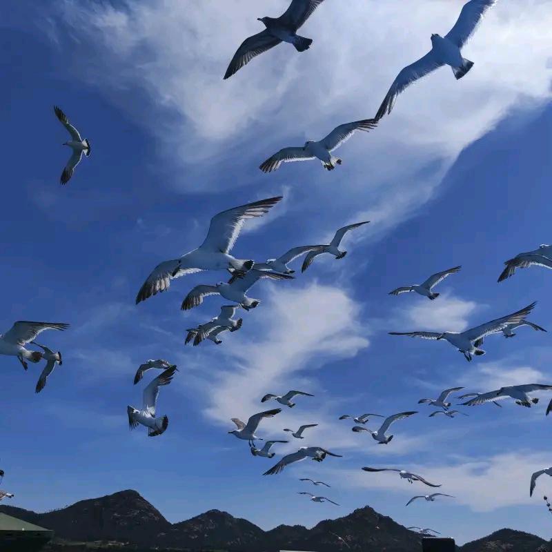 海天旅游