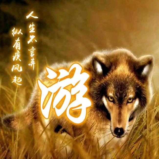 狼🐺性