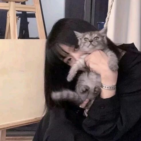 小李不是恋爱脑ོ