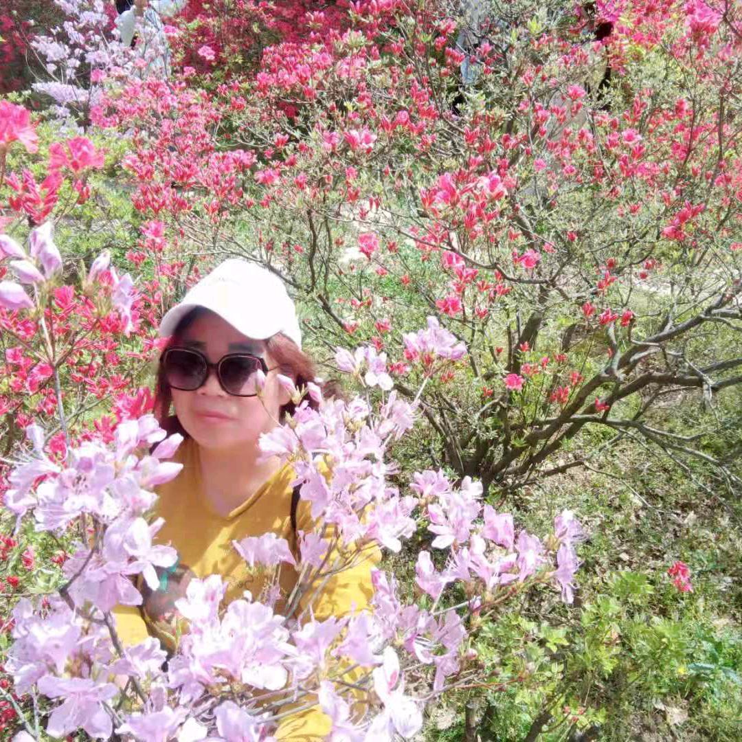 明天更好，🌺🌺🌺🌺