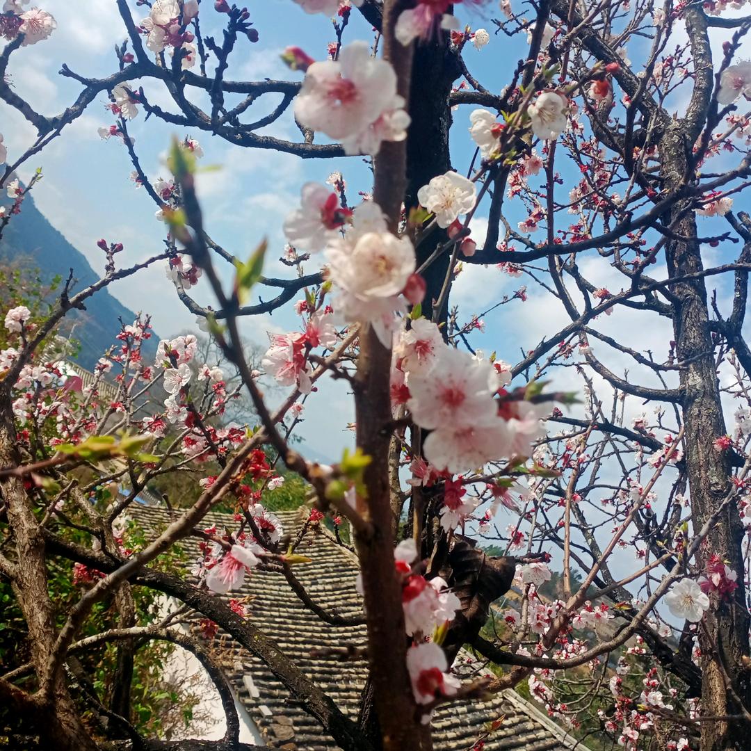 💫静待花开🌈