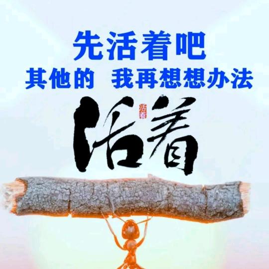 空调【小李】