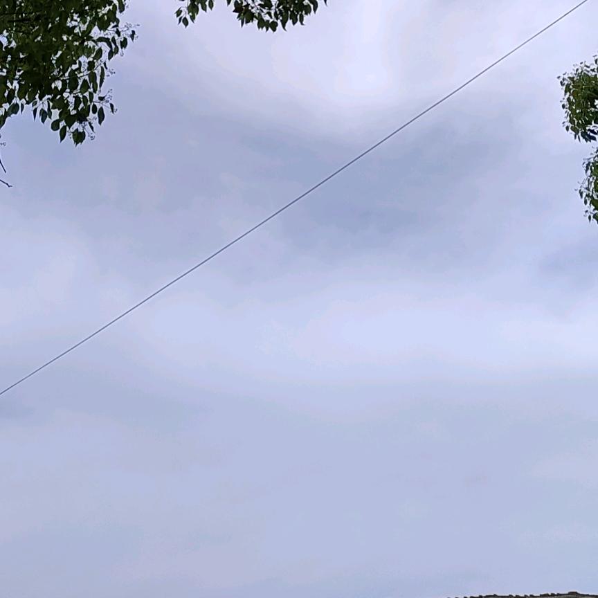 🐇¹⁹₈₇杨℘࿐