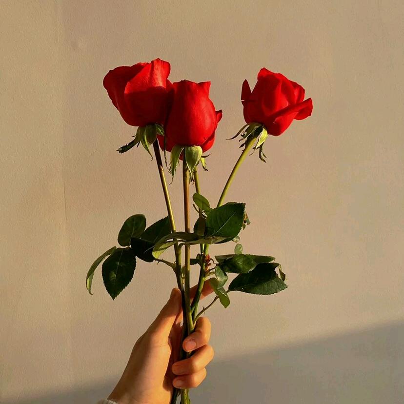 ❤️美好的一天❤️