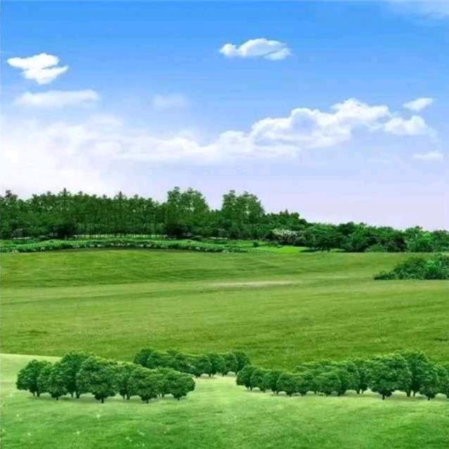 景观美陈，