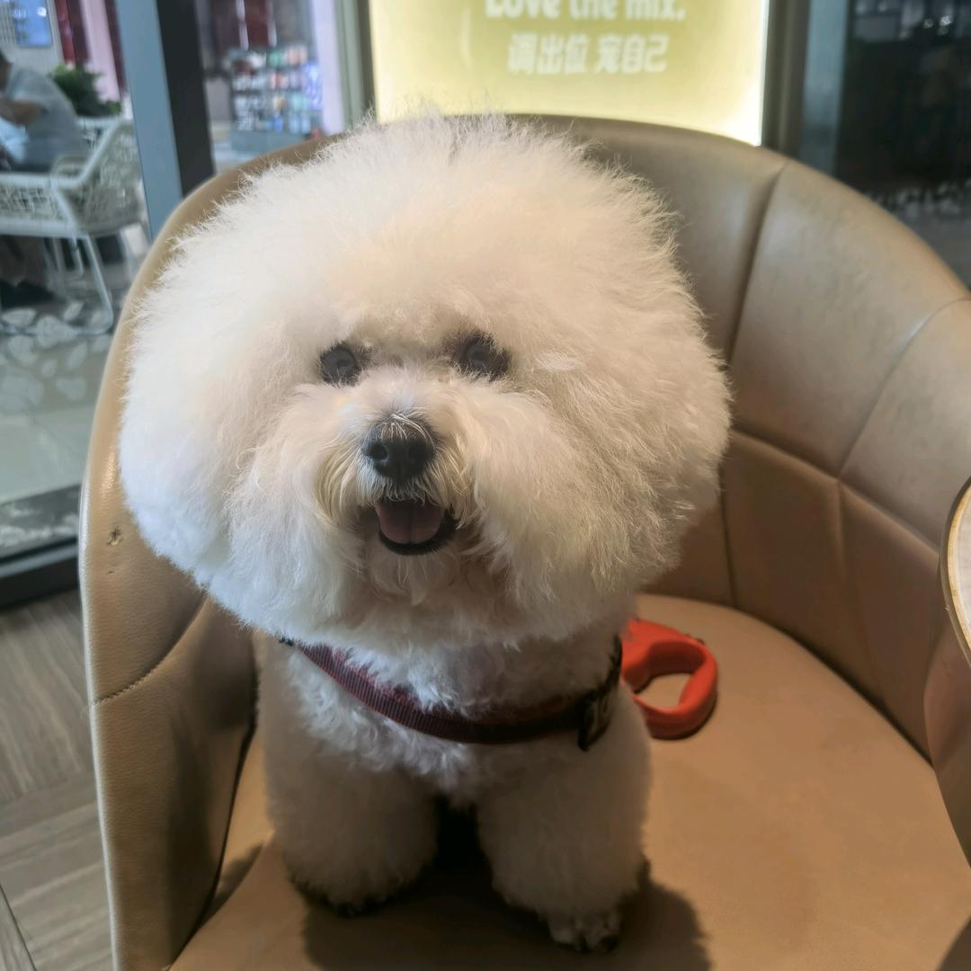 丽子