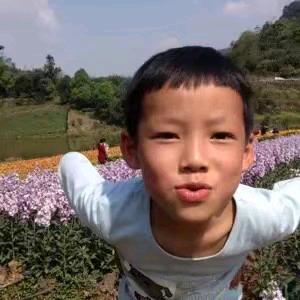 招呼站冰淇淋批发