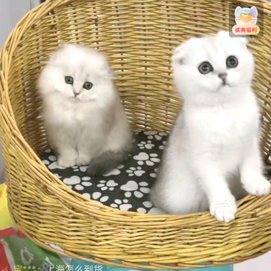 拾抈&