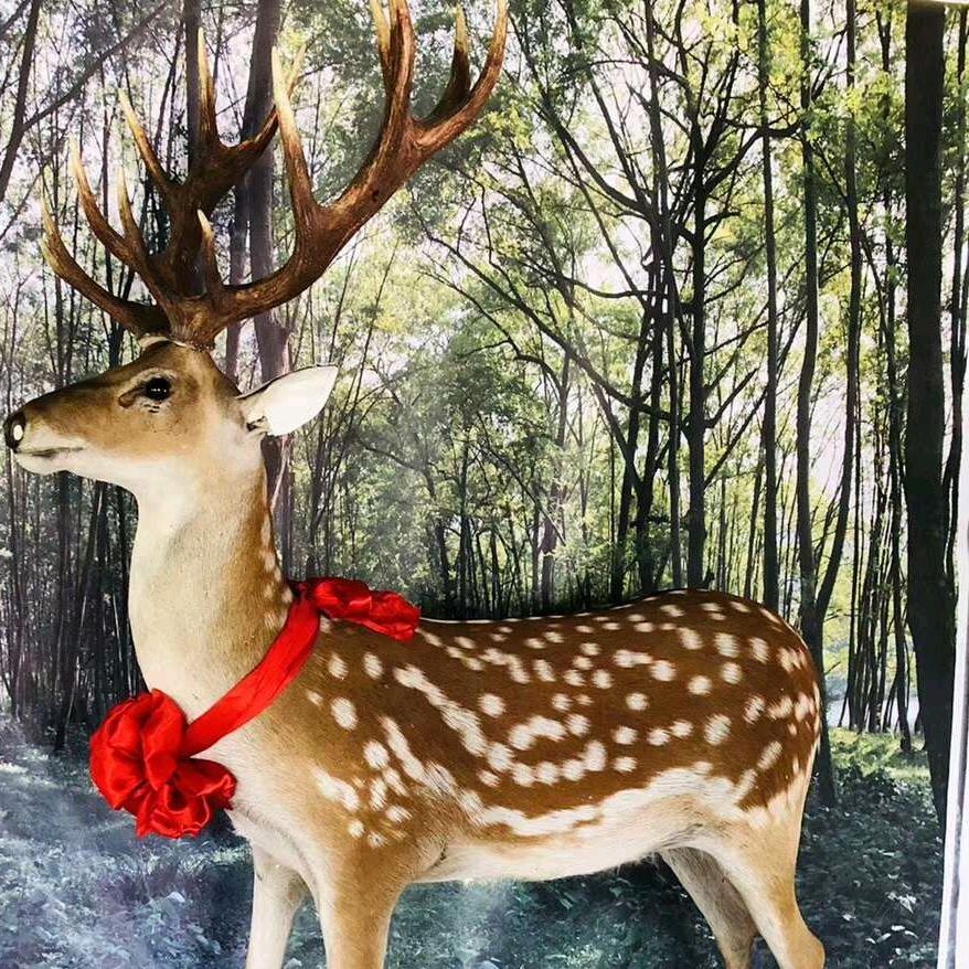 东北特产批发(鹿场直发)