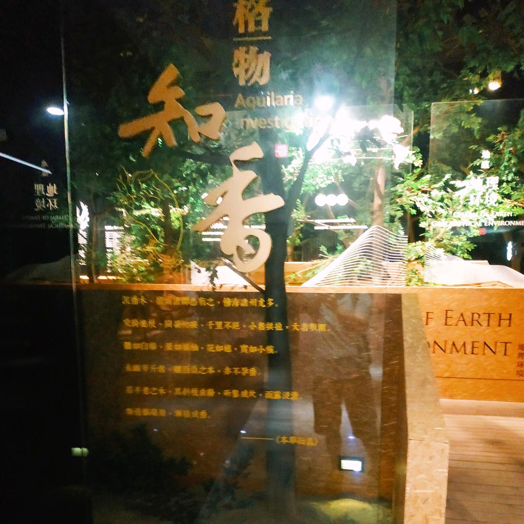 老郑开讲(沉香)