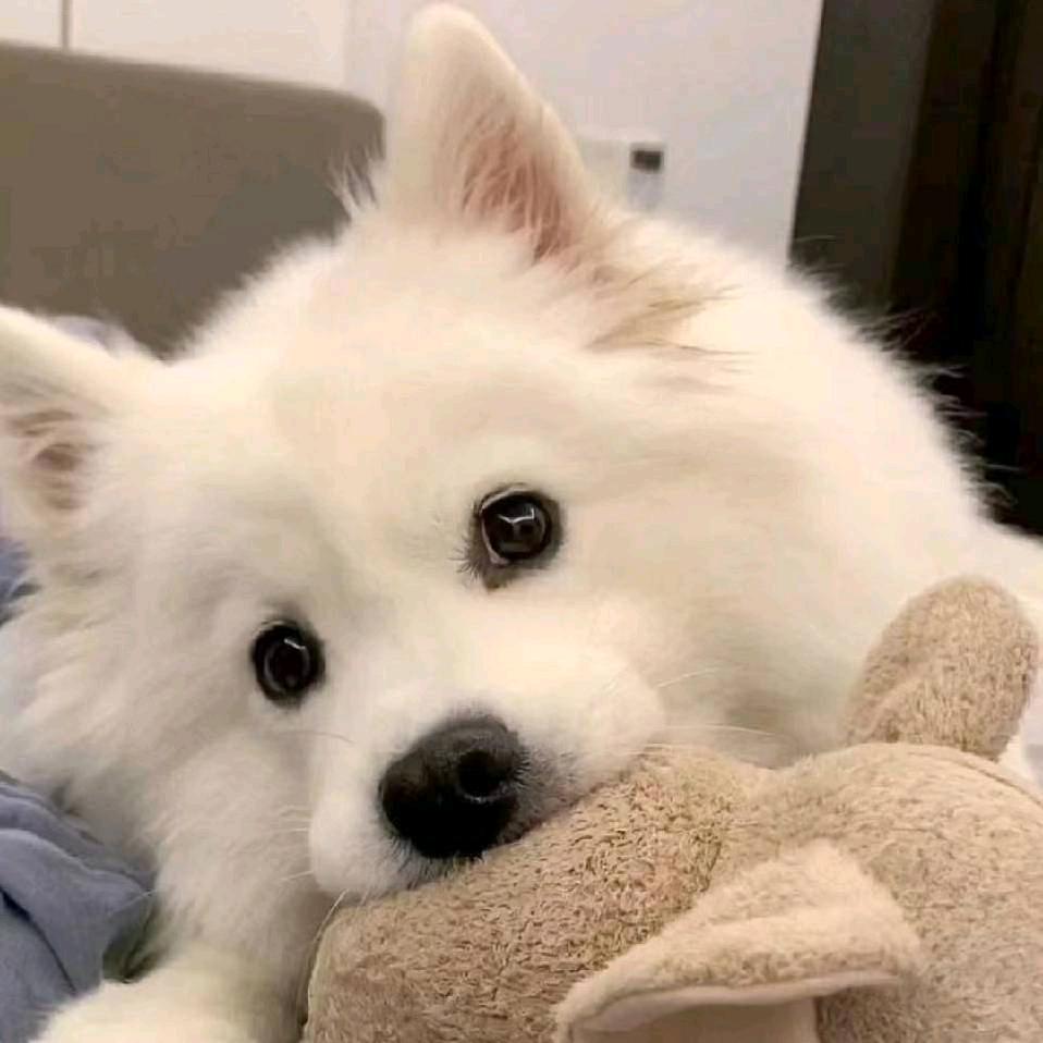 又菜又爱玩´ฅω•ฅ｀