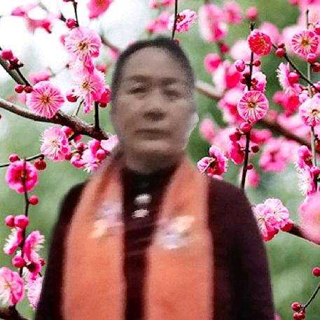 梅梅