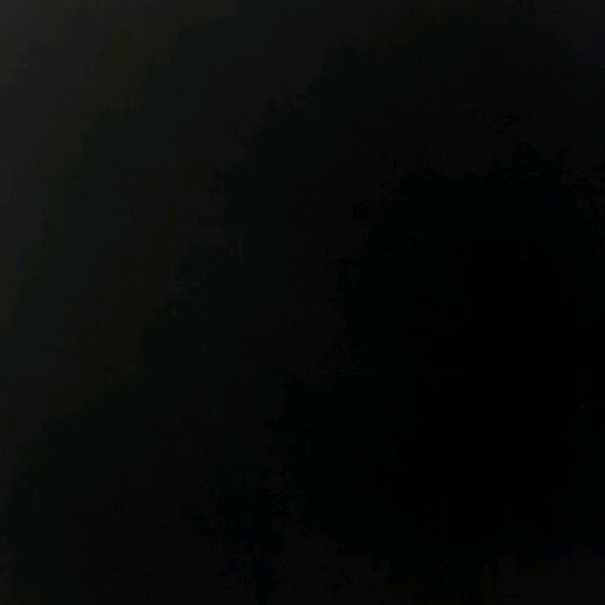 妞帅