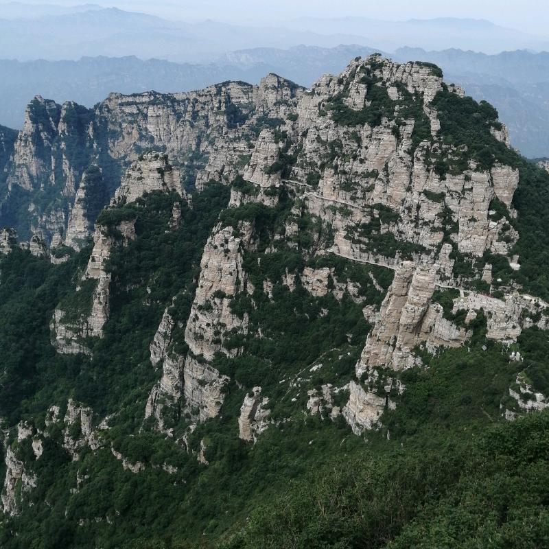 嘿！你好！刘涛