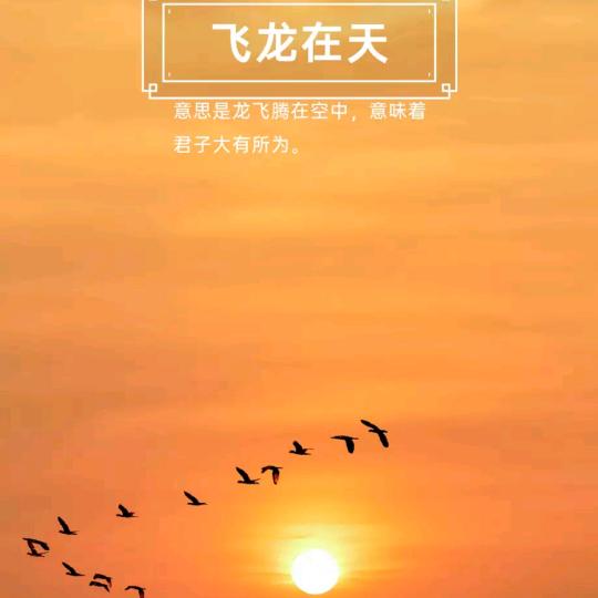 飞扬299