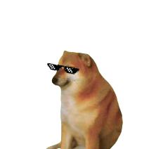 躺平日记2.5