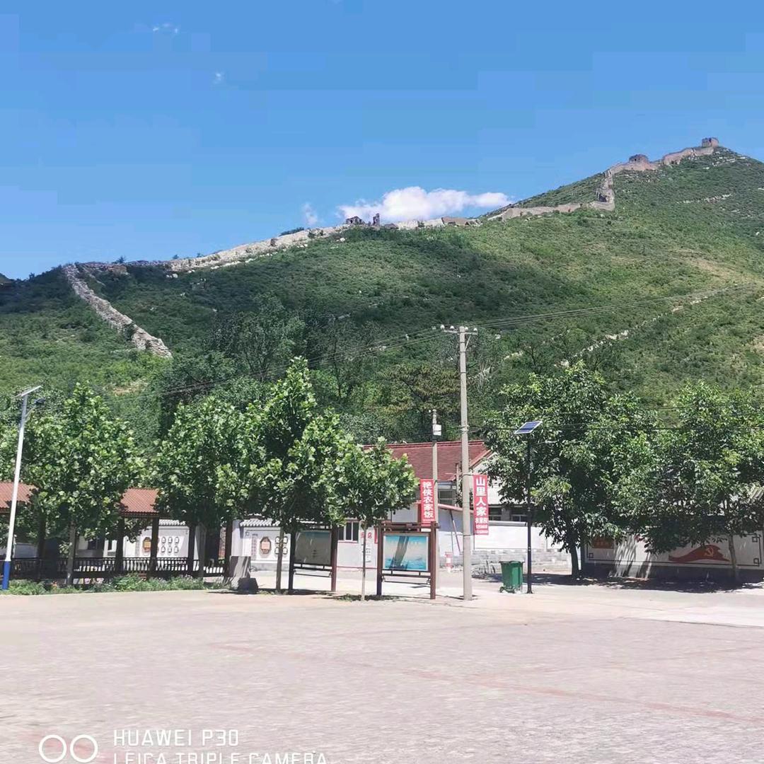 🌲白云🐉
