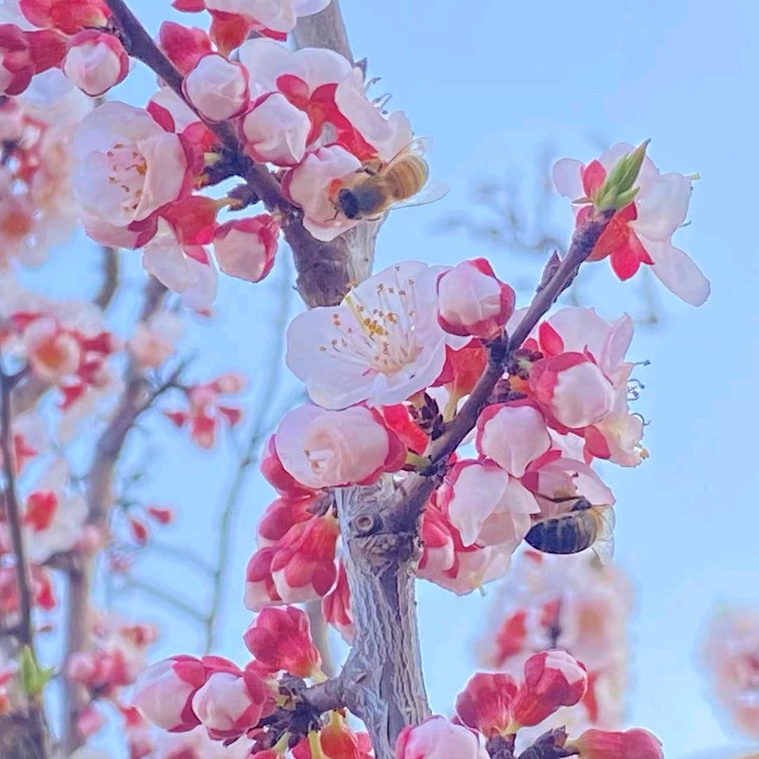 夜雨微澜✔