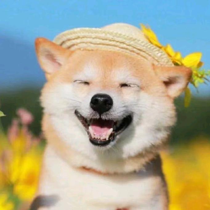 林玉