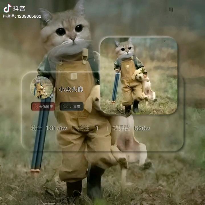 又凹又凸曼