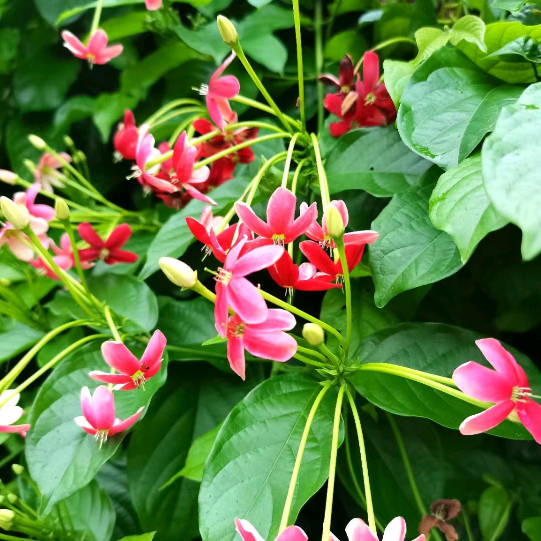 用户4273002362836我是快乐