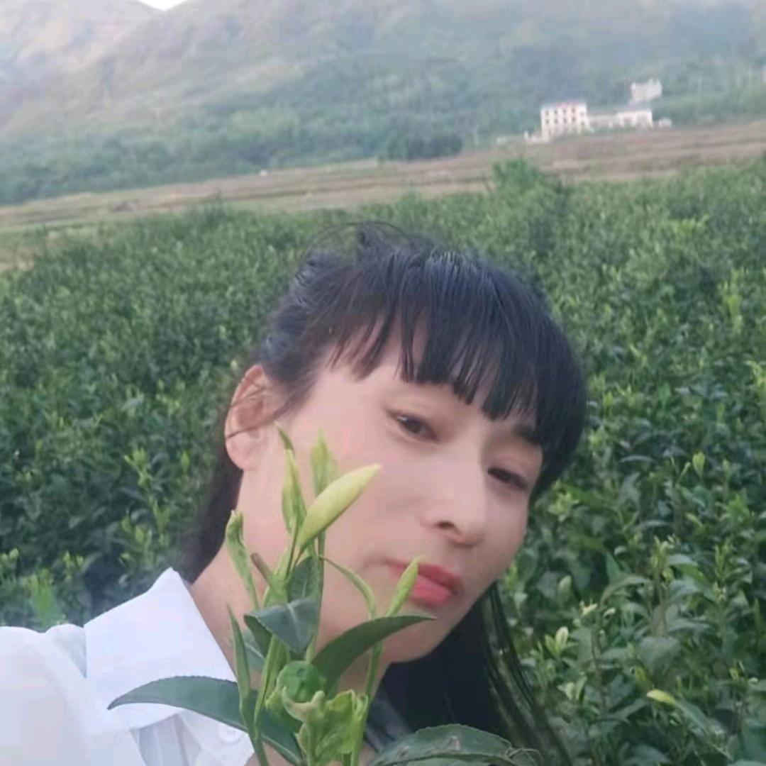 杭州绿缘茶庄。