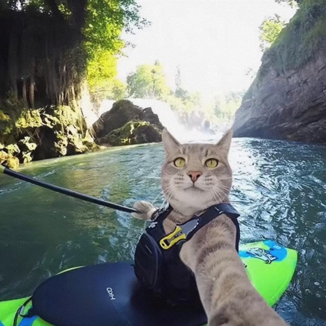 燚燚燚燚燚燚燚燚燚燚