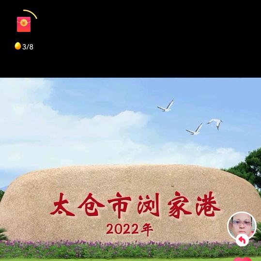 我行我素