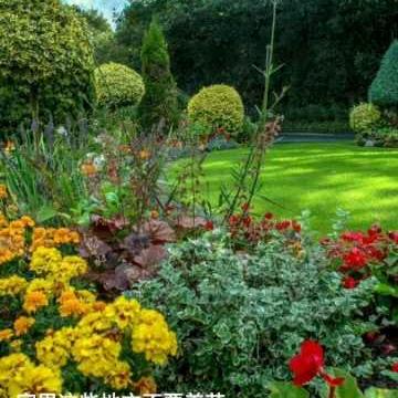 雨☔️后见彩虹🏓🍷