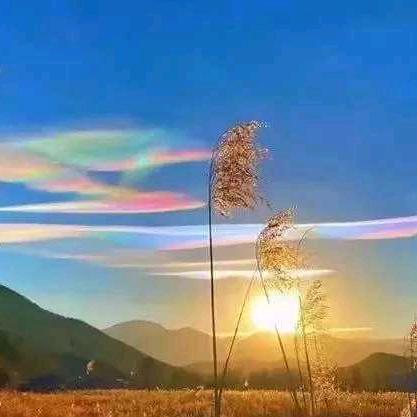 教书匠有兰九畦