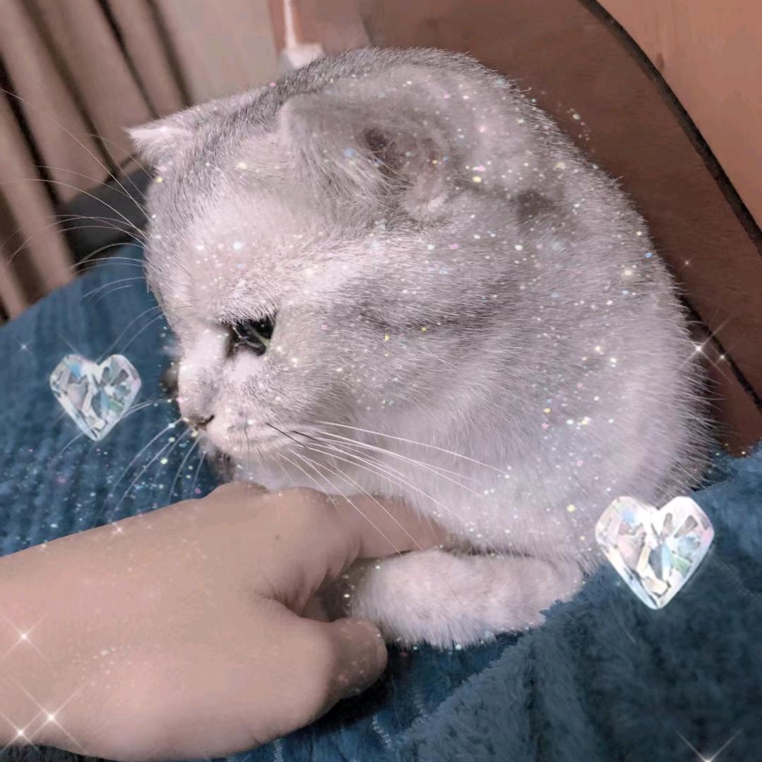 不要丢下我