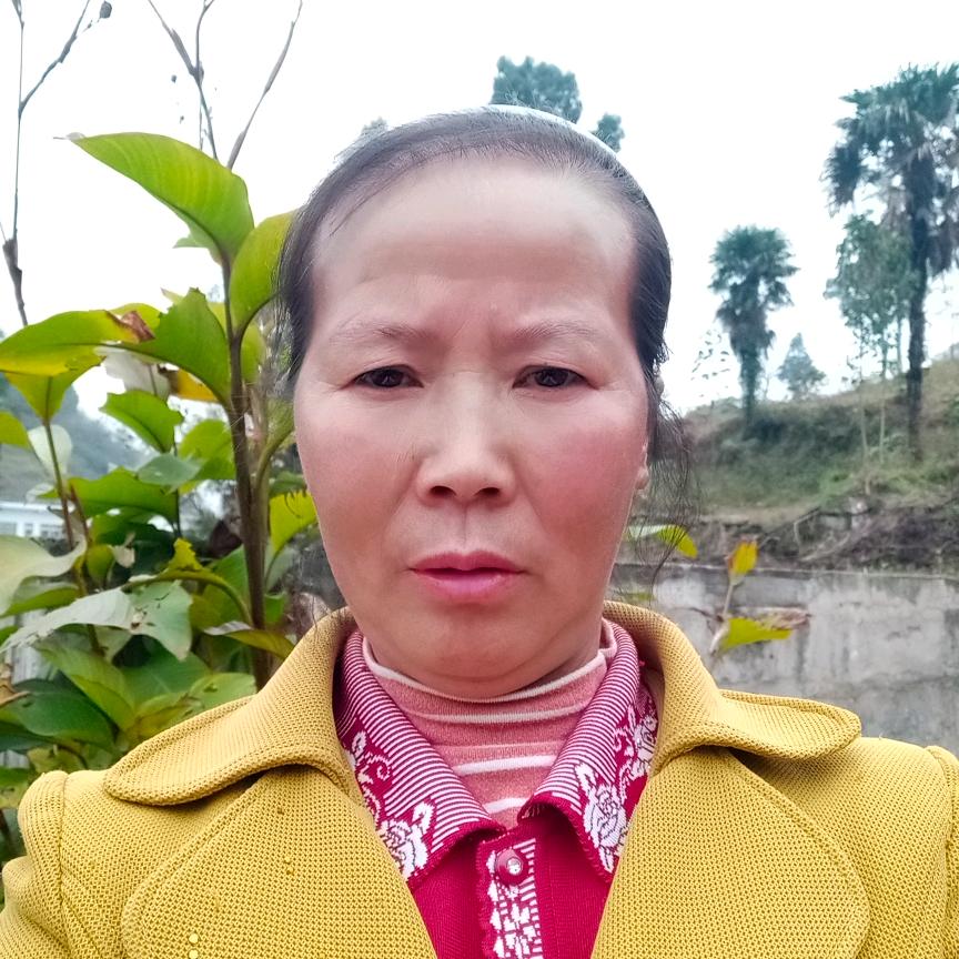美妙地世界