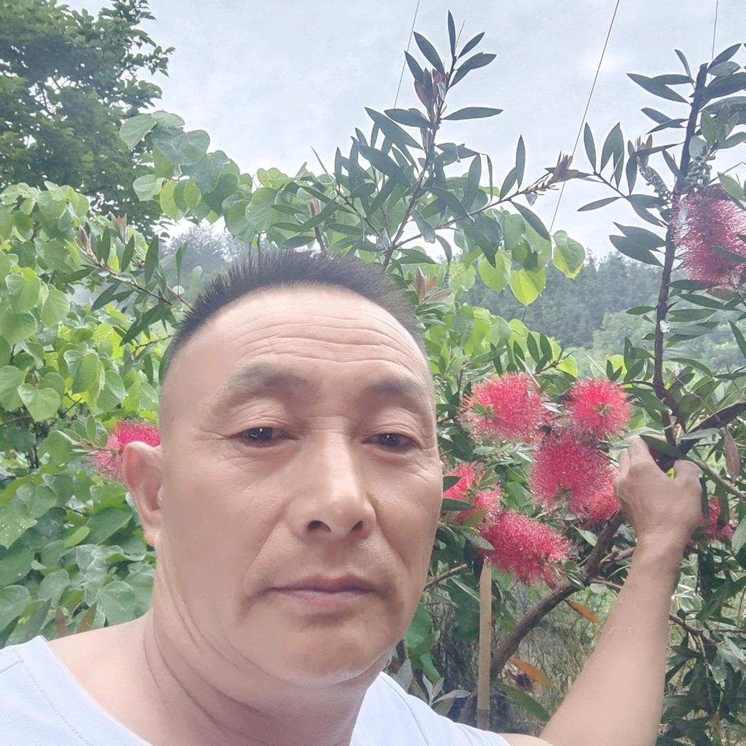 大家看我天天开心