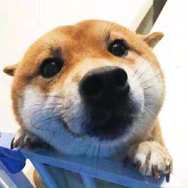 潘子