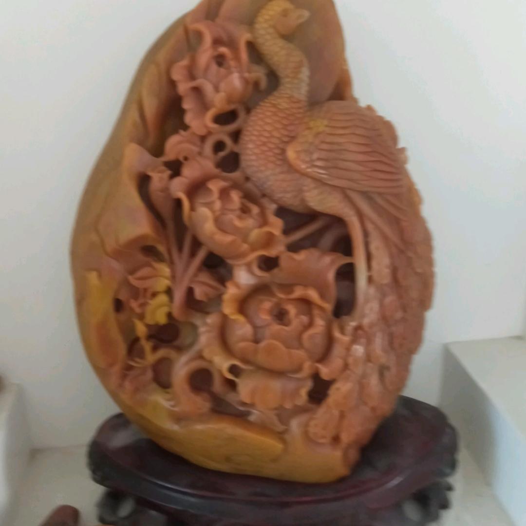 欣欣向荣8888