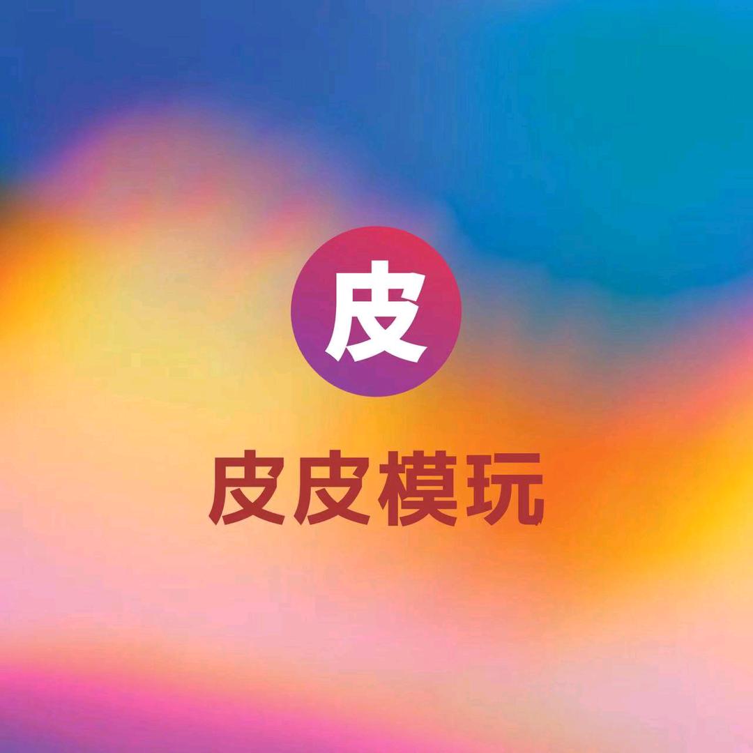 皮皮模玩