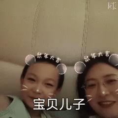 矢车菊