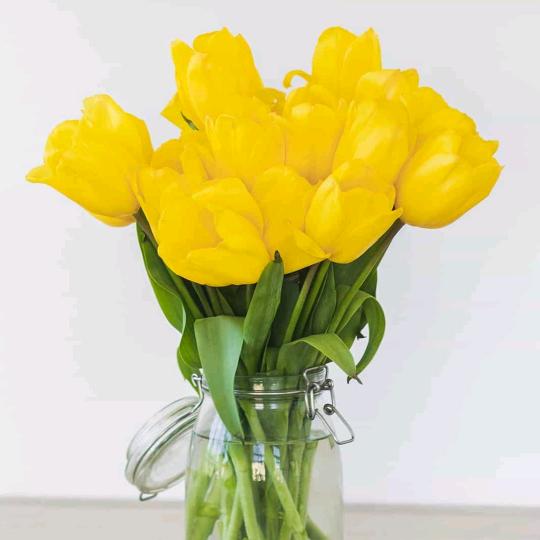 🎶开心就好🎶