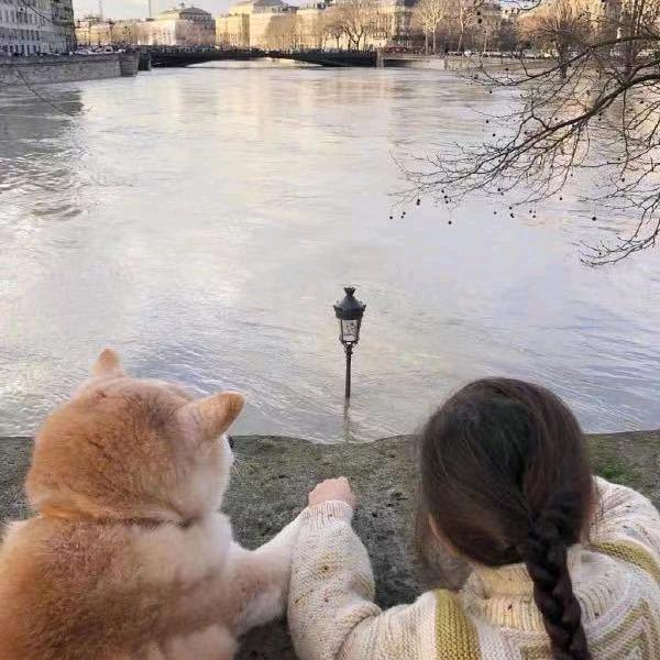 尬叔赏花
