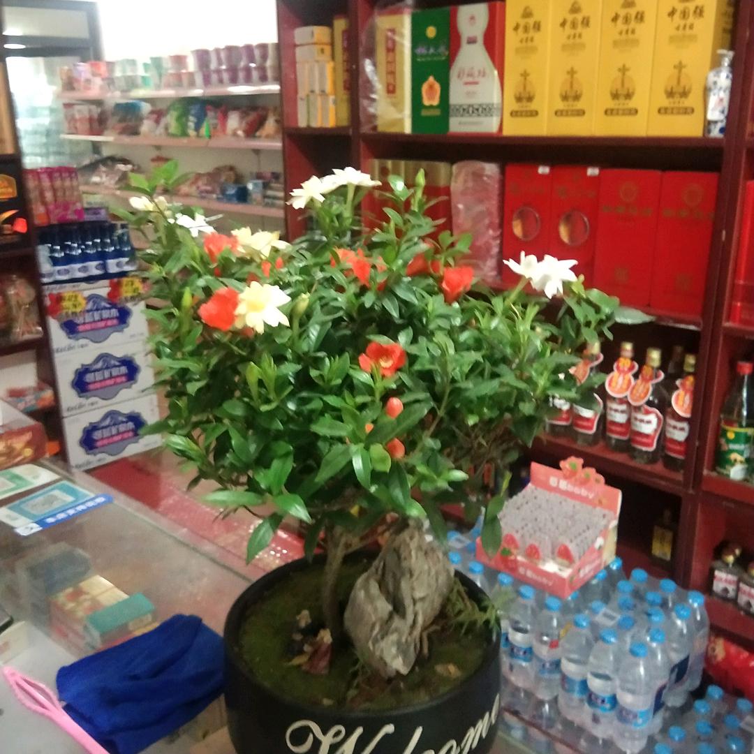 烟酒超市